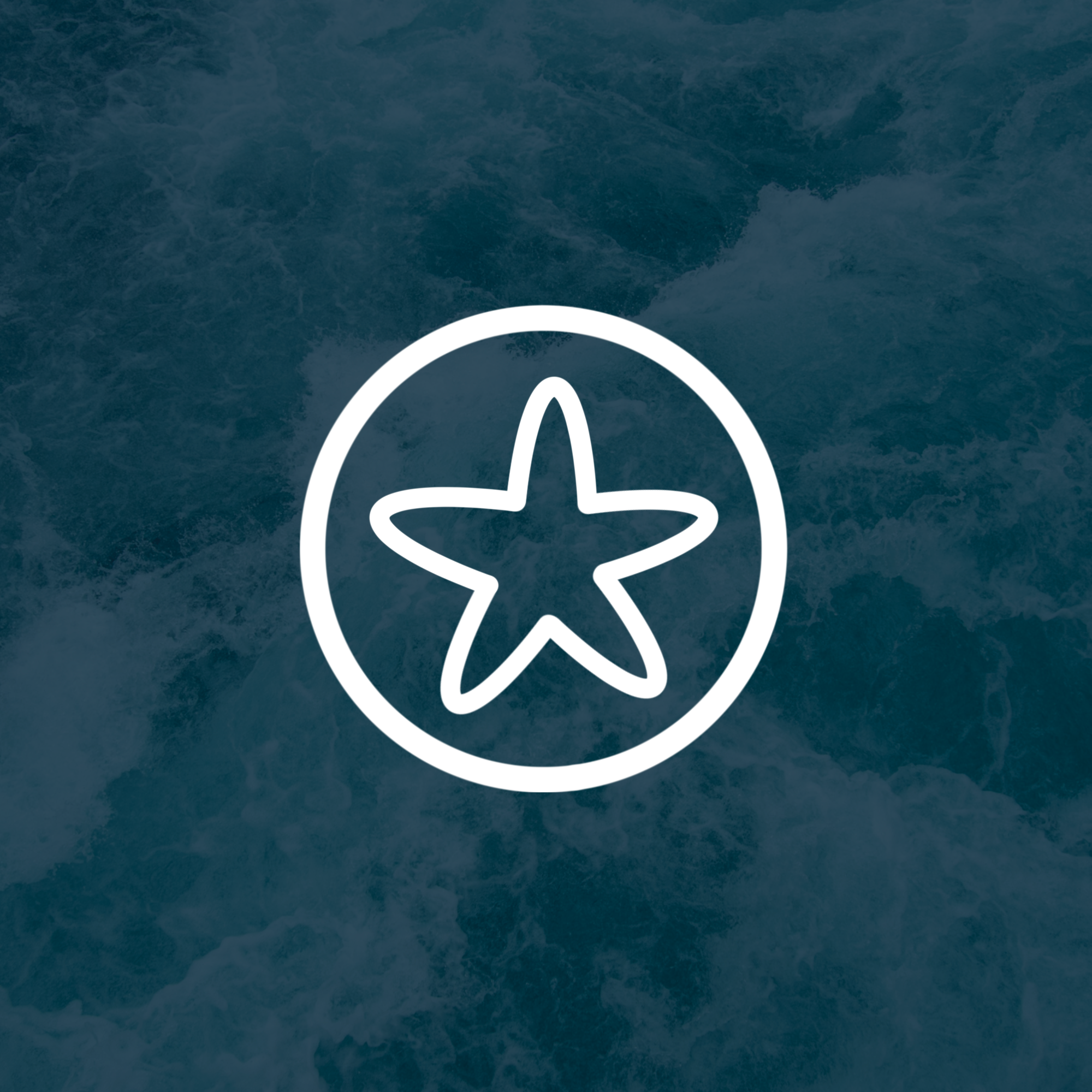 Ocean Plastic: What You Need to Know