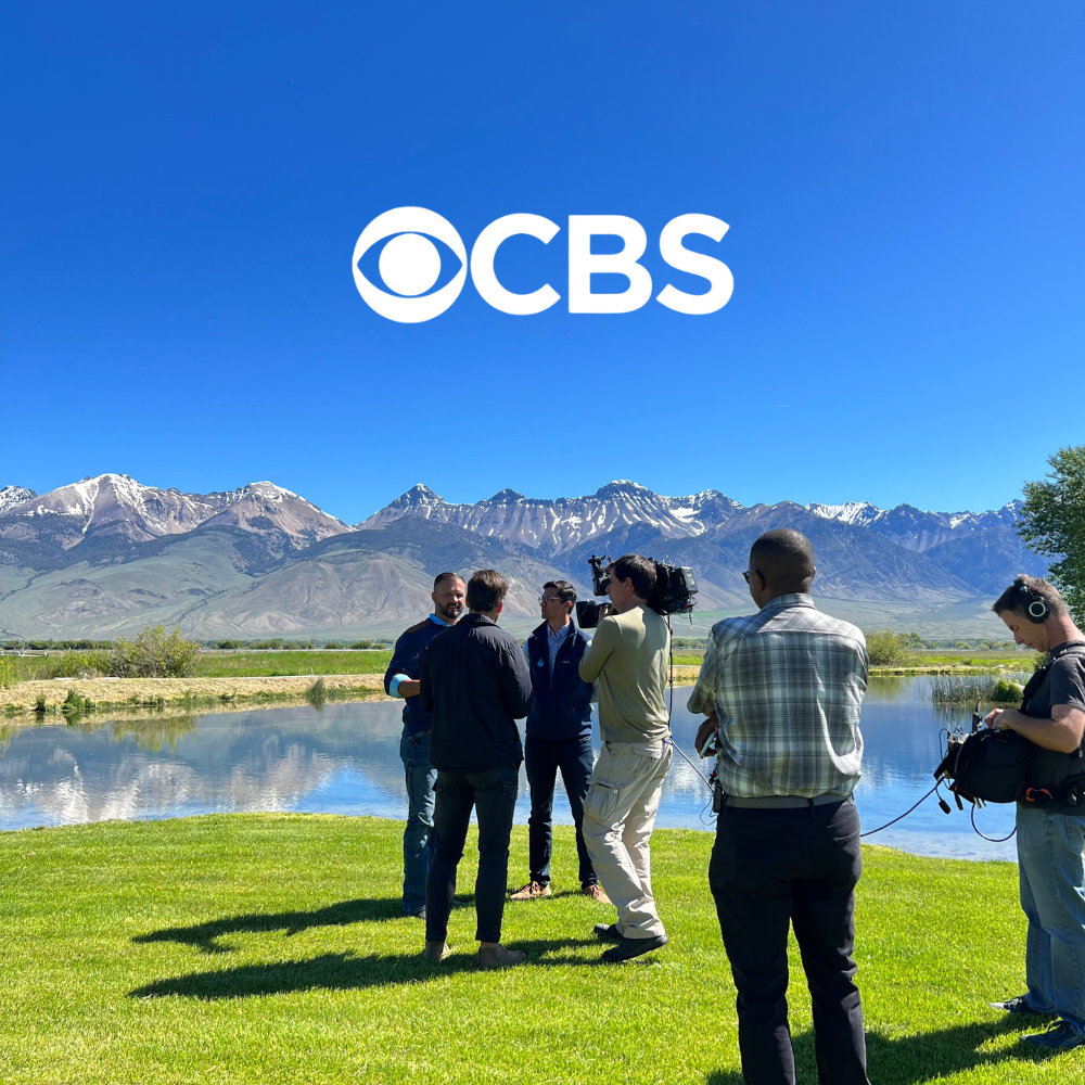 How spring water rejuvenated an old mining town in Idaho