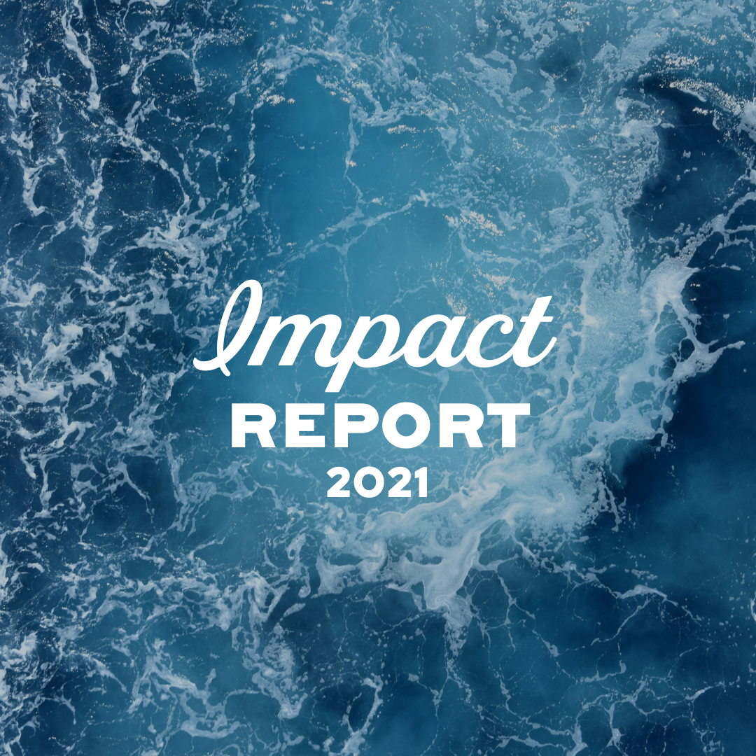 Check out our Impact Report 2021